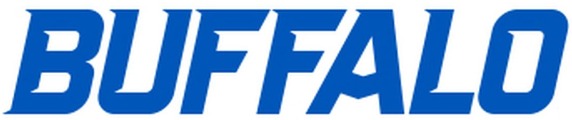 Buffalo Bulls 2016-Pres Wordmark Logo iron on transfers for clothing
